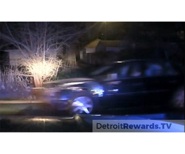 Hit & Run at Schoolcraft and Rutland City of Detroit